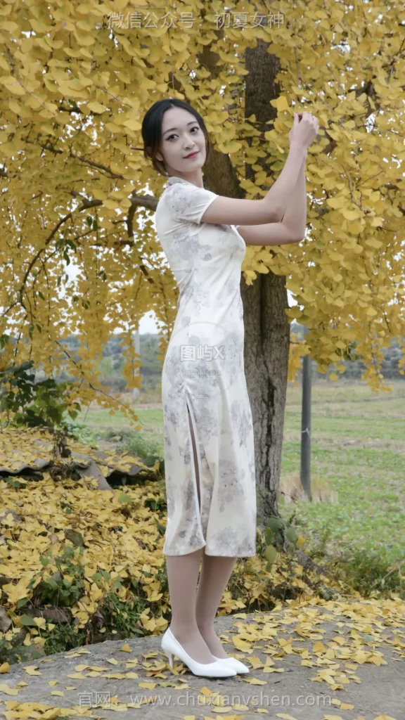 初夏女神 NO.132 依依 寒冬旗袍风 [140P-1V-3.3GB]-图屿X