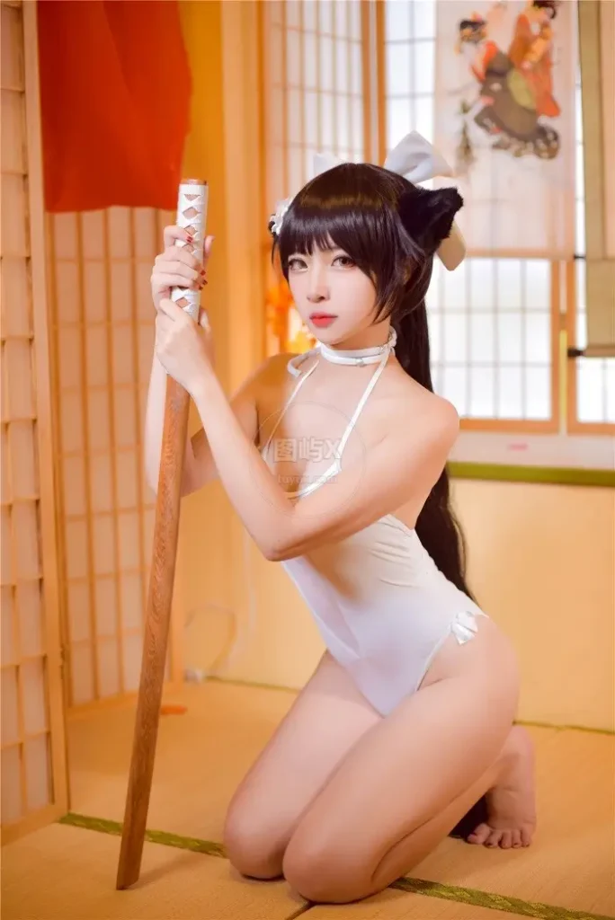 风之领域 No.205 COS指挥官 [47P-558MB]-图屿X