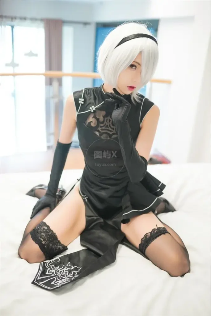 风之领域 No.208 2B小姐姐 [47P-667MB]-图屿X